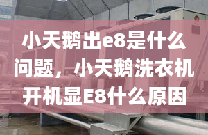 小天鵝出e8是什么問題，小天鵝洗衣機(jī)開機(jī)顯E8什么原因