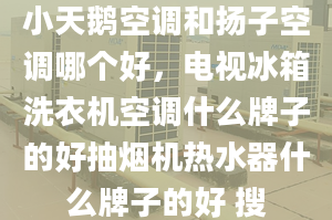 小天鵝空調(diào)和揚(yáng)子空調(diào)哪個(gè)好，電視冰箱洗衣機(jī)空調(diào)什么牌子的好抽煙機(jī)熱水器什么牌子的好 搜