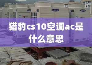 獵豹cs10空調(diào)ac是什么意思