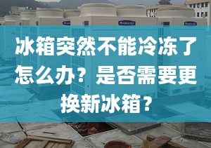 冰箱突然不能冷凍了怎么辦？是否需要更換新冰箱？