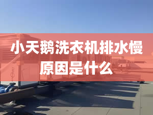 小天鵝洗衣機(jī)排水慢原因是什么