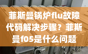 菲斯曼鍋爐flu故障代碼解決步驟？菲斯曼f05是什么問題