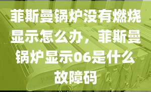 菲斯曼鍋爐沒有燃燒顯示怎么辦，菲斯曼鍋爐顯示06是什么故障碼