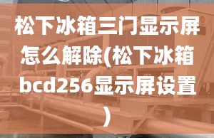 松下冰箱三門顯示屏怎么解除(松下冰箱bcd256顯示屏設置)