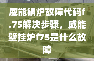 威能鍋爐故障代碼f.75解決步驟，威能壁掛爐f75是什么故障