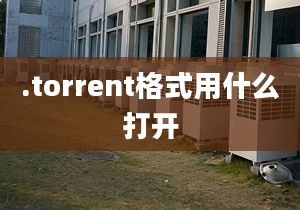 .torrent格式用什么打開