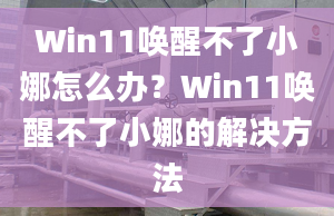 Win11喚醒不了小娜怎么辦？Win11喚醒不了小娜的解決方法