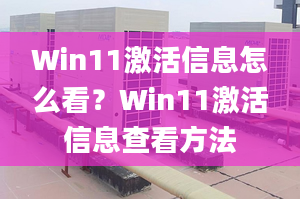 Win11激活信息怎么看？Win11激活信息查看方法