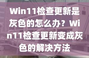 Win11檢查更新是灰色的怎么辦？Win11檢查更新變成灰色的解決方法