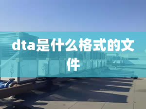 dta是什么格式的文件