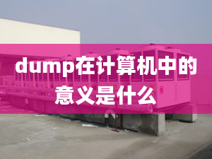 dump在計(jì)算機(jī)中的意義是什么