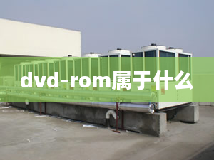 dvd-rom屬于什么