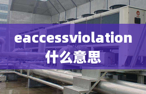 eaccessviolation什么意思