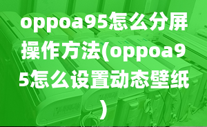 oppoa95怎么分屏操作方法(oppoa95怎么設置動態(tài)壁紙)