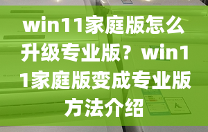 win11家庭版怎么升級(jí)專業(yè)版？win11家庭版變成專業(yè)版方法介紹