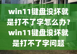 win11鍵盤沒壞就是打不了字怎么辦？win11鍵盤沒壞就是打不了字問題