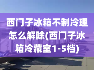 西門(mén)子冰箱不制冷理怎么解除(西門(mén)子冰箱冷藏室1-5檔)