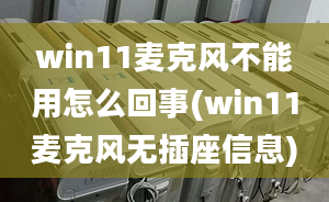 win11麥克風不能用怎么回事(win11麥克風無插座信息)