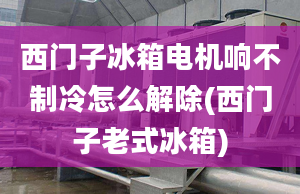 西門(mén)子冰箱電機(jī)響不制冷怎么解除(西門(mén)子老式冰箱)