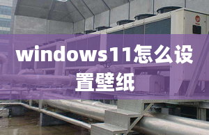 windows11怎么設置壁紙