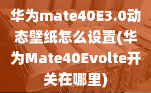 華為mate40E3.0動(dòng)態(tài)壁紙?jiān)趺丛O(shè)置(華為Mate40Evolte開關(guān)在哪里)