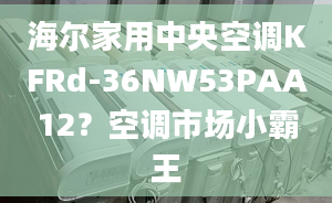 海爾家用中央空調(diào)KFRd-36NW53PAA12？空調(diào)市場小霸王