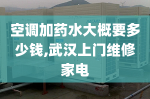 空調(diào)加藥水大概要多少錢,武漢上門維修家電