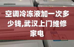 空調(diào)冷凍液加一次多少錢,武漢上門維修家電