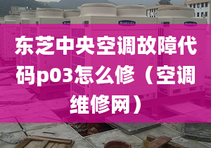 東芝中央空調(diào)故障代碼p03怎么修（空調(diào)維修網(wǎng)）