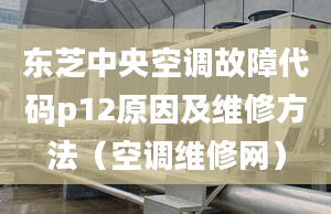 東芝中央空調(diào)故障代碼p12原因及維修方法（空調(diào)維修網(wǎng)）