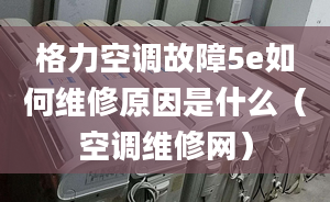 格力空調(diào)故障5e如何維修原因是什么（空調(diào)維修網(wǎng)）