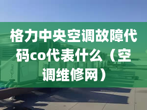 格力中央空調(diào)故障代碼co代表什么（空調(diào)維修網(wǎng)）