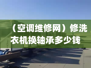 （空調(diào)維修網(wǎng)）修洗衣機(jī)換軸承多少錢