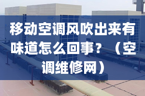 移動空調(diào)風(fēng)吹出來有味道怎么回事？（空調(diào)維修網(wǎng)）