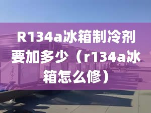 R134a冰箱制冷劑要加多少（r134a冰箱怎么修）