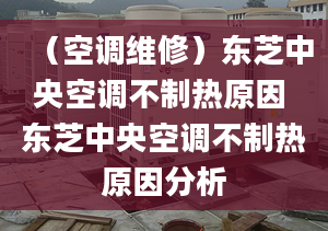 （空調(diào)維修）東芝中央空調(diào)不制熱原因 東芝中央空調(diào)不制熱原因分析