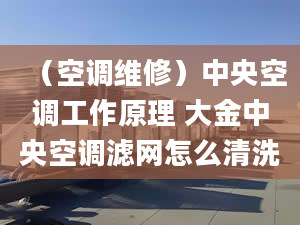 （空調(diào)維修）中央空調(diào)工作原理 大金中央空調(diào)濾網(wǎng)怎么清洗