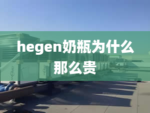 hegen奶瓶為什么那么貴