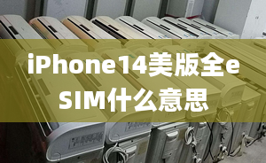 iPhone14美版全eSIM什么意思