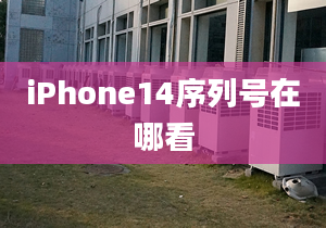 iPhone14序列號在哪看