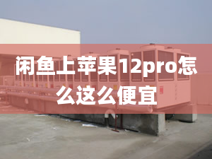 閑魚上蘋果12pro怎么這么便宜