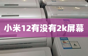 小米12有沒有2k屏幕