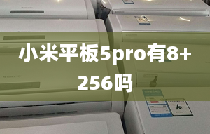 小米平板5pro有8+256嗎