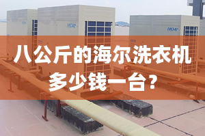 八公斤的海爾洗衣機(jī)多少錢一臺(tái)？