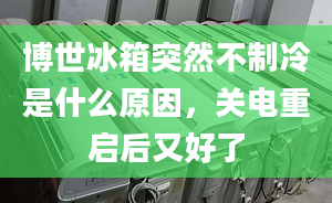 博世冰箱突然不制冷是什么原因，關(guān)電重啟后又好了