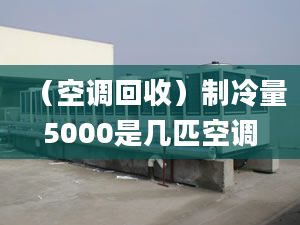 （空調(diào)回收）制冷量5000是幾匹空調(diào)