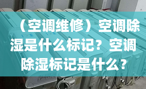 （空調(diào)維修）空調(diào)除濕是什么標(biāo)記？空調(diào)除濕標(biāo)記是什么？