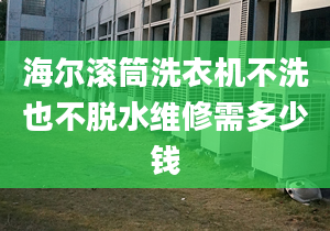 海爾滾筒洗衣機不洗也不脫水維修需多少錢