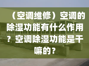 （空調(diào)維修）空調(diào)的除濕功能有什么作用？空調(diào)除濕功能是干嘛的？