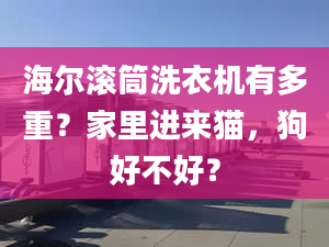 海爾滾筒洗衣機(jī)有多重？家里進(jìn)來貓，狗好不好？